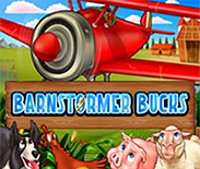 Barnstormer Bucks